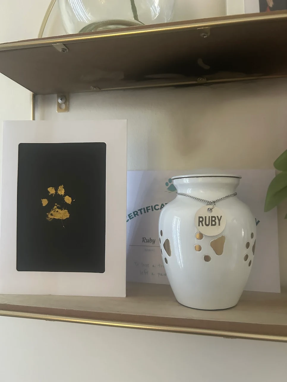 Review image 1 from Ann Harris